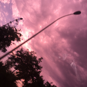 男女啪啪啪动态视频
